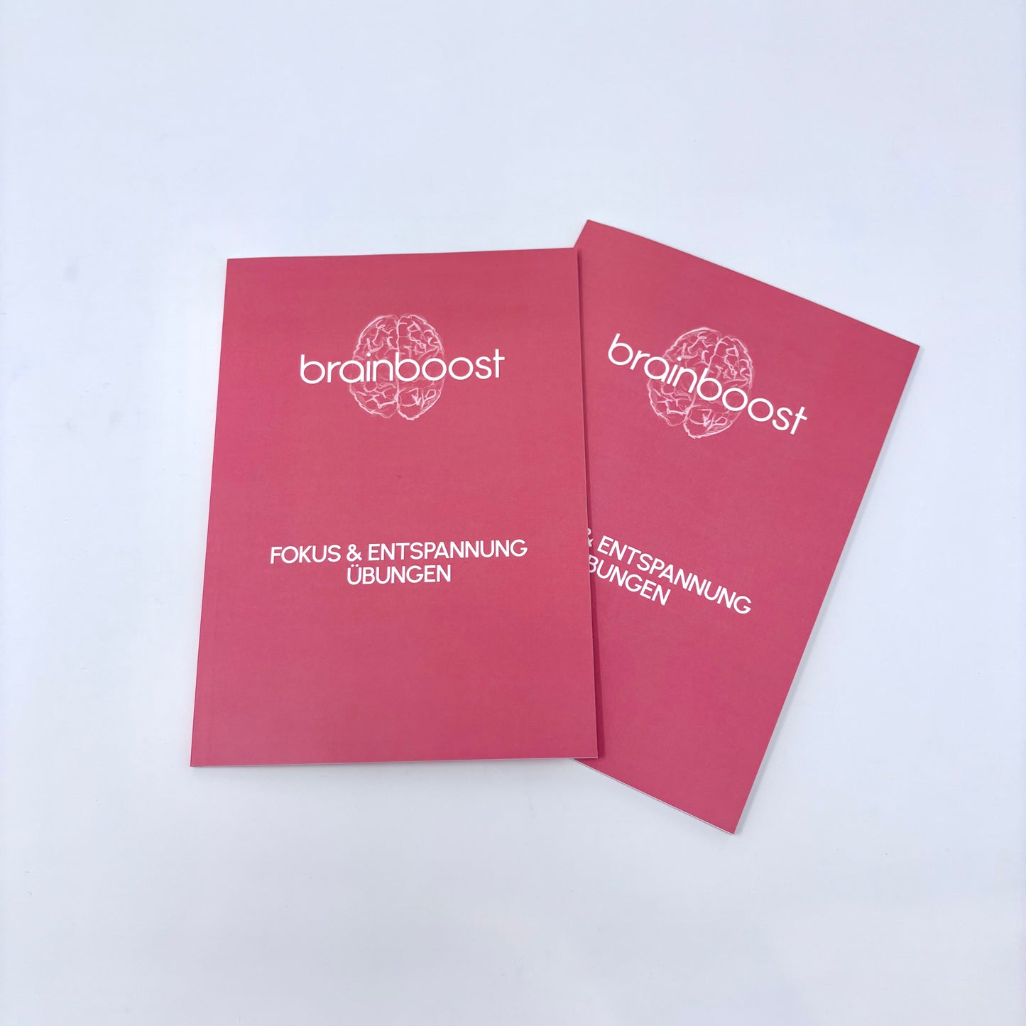 Trainingbook Mental Fitness and Health (German version)
