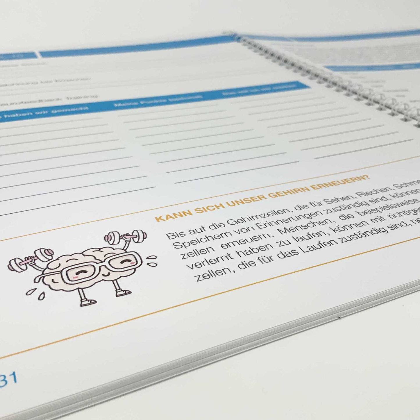 Workbook | Neurofeedback | Children | 15 chapters